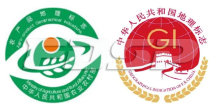生物有機肥，即將迎來黃金十年？(圖5)